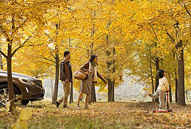 《龙腾世纪：影障守护者》闲聊被打断终于能继续了